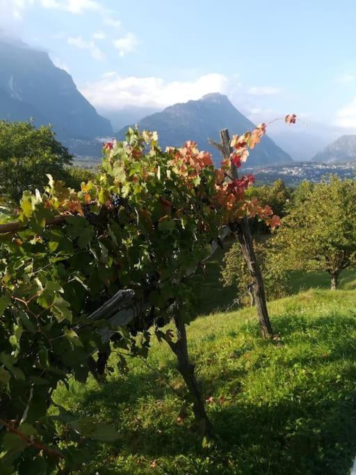 La Casa Nel Prunent Trontano Extérieur photo